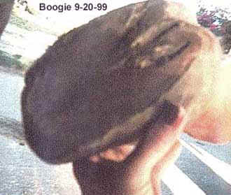 Boogie9-20-99foot.jpg (13839 bytes)