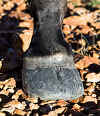 glue_on_rocks_close.jpg (18012 bytes)