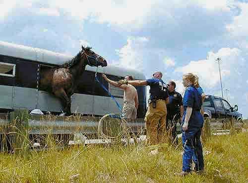 Horse Trailer Pictures