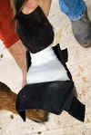rx_bandage.jpg (14707 bytes)